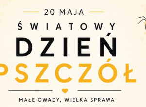 Dzień Pszczoły