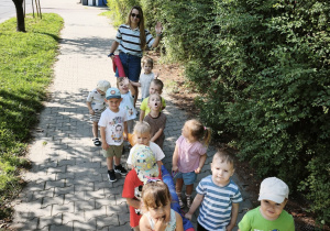 Liski na spacerze