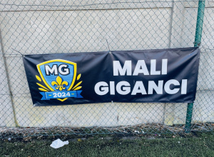 Mali Giganci- zajęcia sportowe