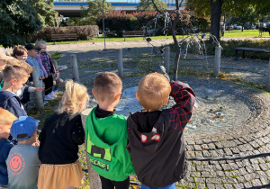 Niedźwiadki odkrywają okolice