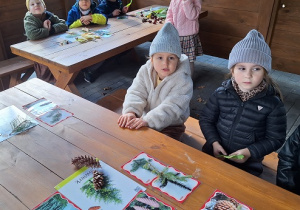 Szyszki i gałązki świerku - zadanie zaliczone.