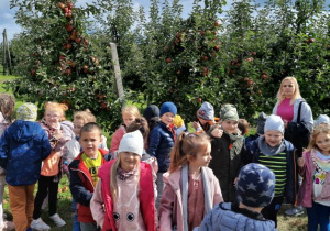 Dzieci przyglądają się drzewom jabłoni.