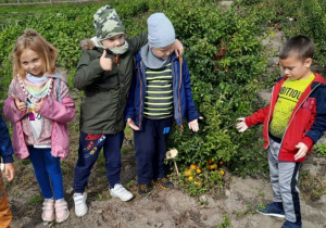 Dzieci pokazują owoce pigwowca.