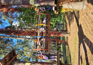 Dzieci na kolejnej przeszkodzie parku linowego.